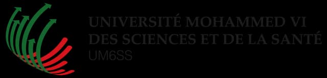 Logo UM6SS